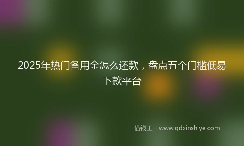 2025年热门备用金怎么还款，盘点五个门槛低易下款平台