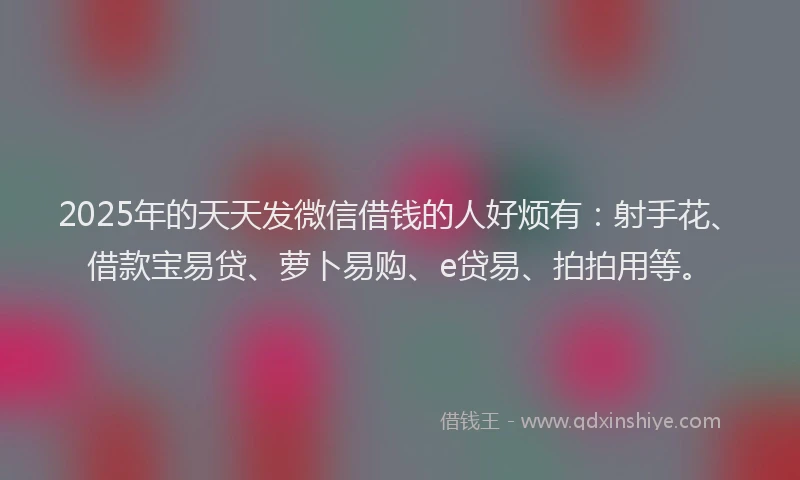 2025年的天天发微信借钱的人好烦有：射手花、借款宝易贷、萝卜易购、e贷易、拍拍用等。