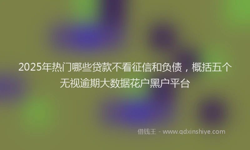 2025年热门哪些贷款不看征信和负债，概括五个无视逾期大数据花户黑户平台