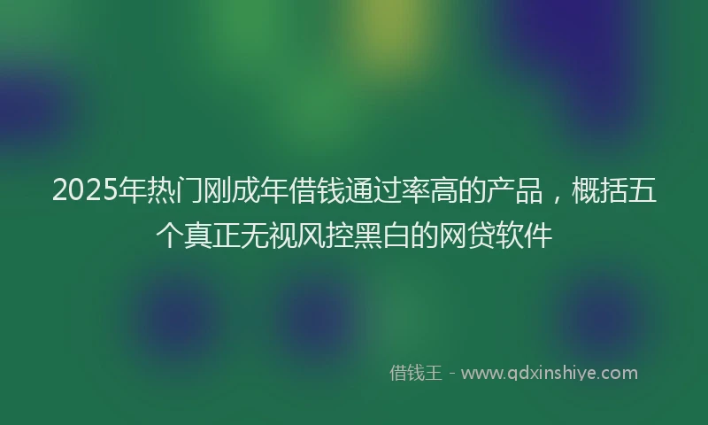 2025年热门刚成年借钱通过率高的产品，概括五个真正无视风控黑白的网贷软件