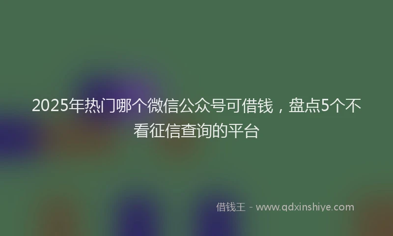 2025年热门哪个微信公众号可借钱，盘点5个不看征信查询的平台