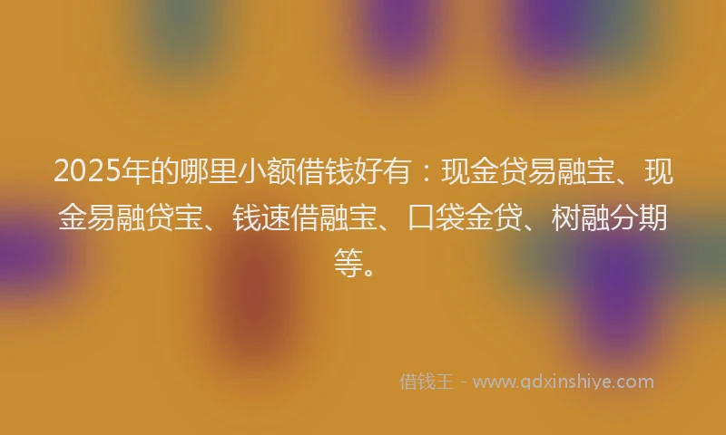 2025年的哪里小额借钱好有：现金贷易融宝、现金易融贷宝、钱速借融宝、口袋金贷、树融分期等。