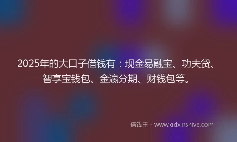 2025年的大口子借钱有：现金易融宝、功夫贷、智享宝钱包、金瀛分期、财钱包等。