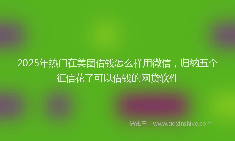2025年热门在美团借钱怎么样用微信，归纳五个征信花了可以借钱的网贷软件