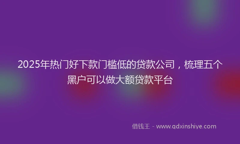 2025年热门好下款门槛低的贷款公司，梳理五个黑户可以做大额贷款平台