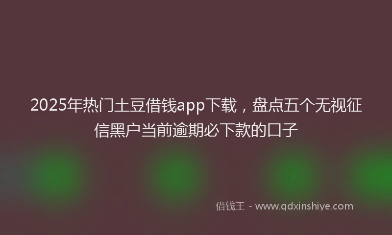 2025年热门土豆借钱app下载，盘点五个无视征信黑户当前逾期必下款的口子