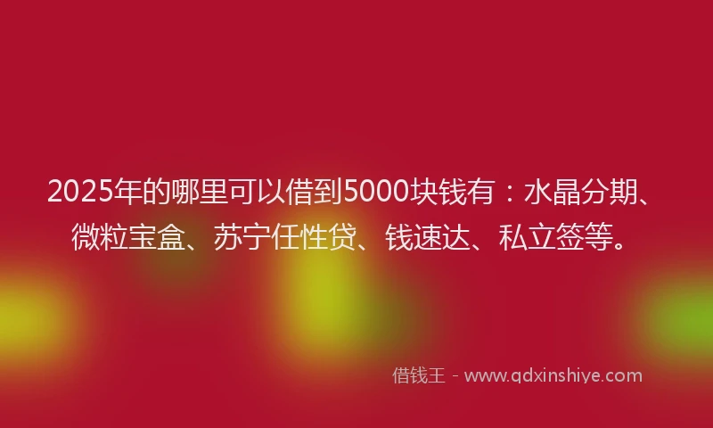 2025年的哪里可以借到5000块钱有：水晶分期、微粒宝盒、苏宁任性贷、钱速达、私立签等。