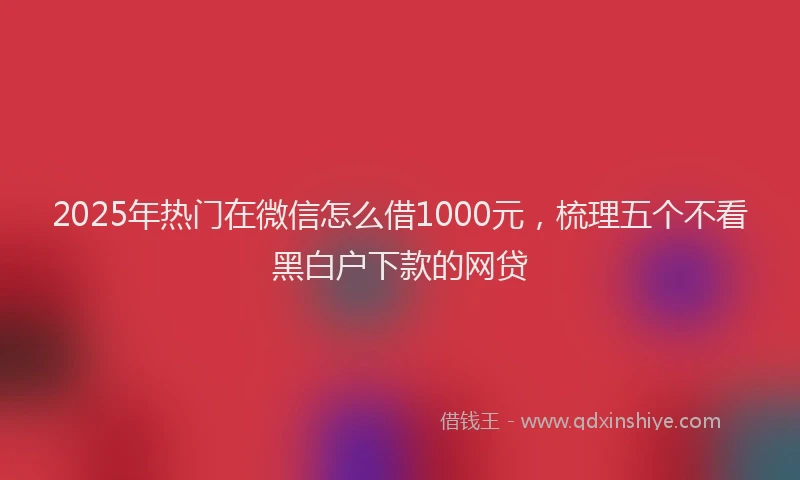2025年热门在微信怎么借1000元，梳理五个不看黑白户下款的网贷