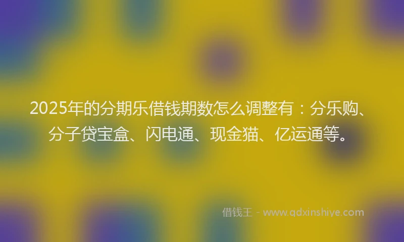 2025年的分期乐借钱期数怎么调整有：分乐购、分子贷宝盒、闪电通、现金猫、亿运通等。