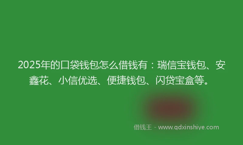 2025年的口袋钱包怎么借钱有：瑞信宝钱包、安鑫花、小信优选、便捷钱包、闪贷宝盒等。