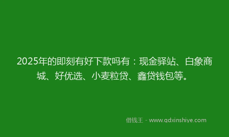 2025年的即刻有好下款吗有：现金驿站、白象商城、好优选、小麦粒贷、鑫贷钱包等。