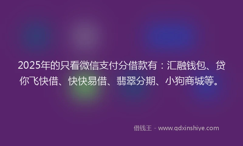 2025年的只看微信支付分借款有：汇融钱包、贷你飞快借、快快易借、翡翠分期、小狗商城等。
