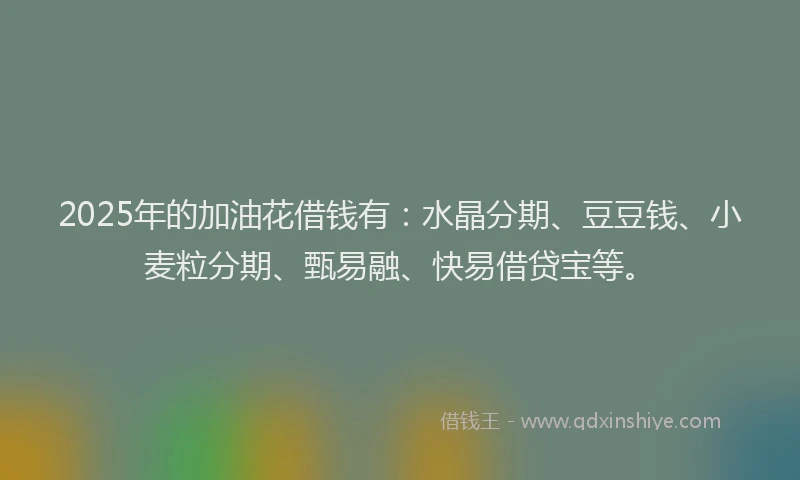 2025年的加油花借钱有：水晶分期、豆豆钱、小麦粒分期、甄易融、快易借贷宝等。