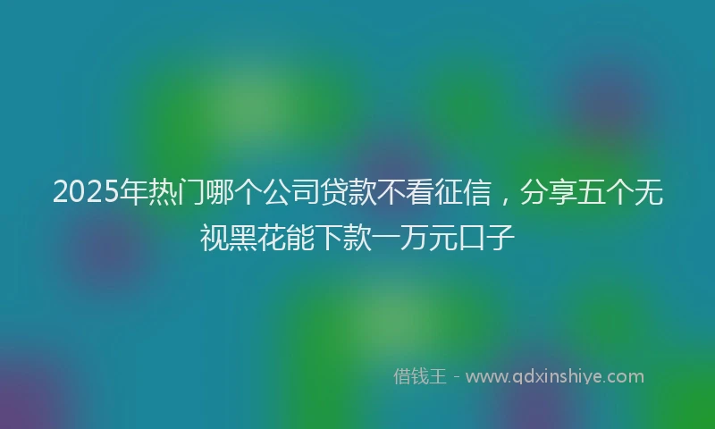 2025年热门哪个公司贷款不看征信，分享五个无视黑花能下款一万元口子