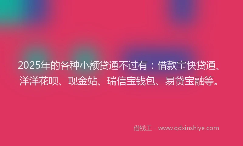 2025年的各种小额贷通不过有：借款宝快贷通、洋洋花呗、现金站、瑞信宝钱包、易贷宝融等。
