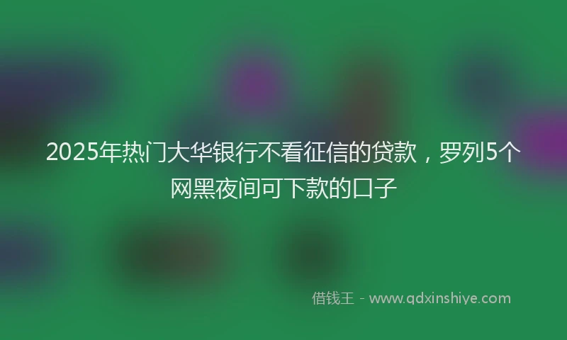 2025年热门大华银行不看征信的贷款，罗列5个网黑夜间可下款的口子