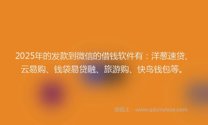 2025年的发款到微信的借钱软件有：洋葱速贷、云易购、钱袋易贷融、旅游购、快鸟钱包等。