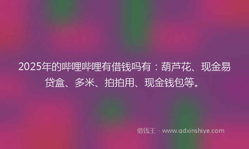 2025年的哔哩哔哩有借钱吗有：葫芦花、现金易贷盒、多米、拍拍用、现金钱包等。