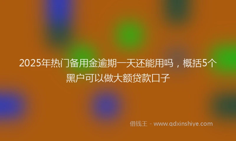 2025年热门备用金逾期一天还能用吗，概括5个黑户可以做大额贷款口子