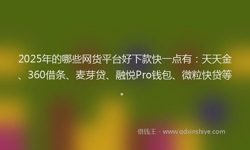 2025年的哪些网货平台好下款快一点有：天天金、360借条、麦芽贷、融悦Pro钱包、微粒快贷等。