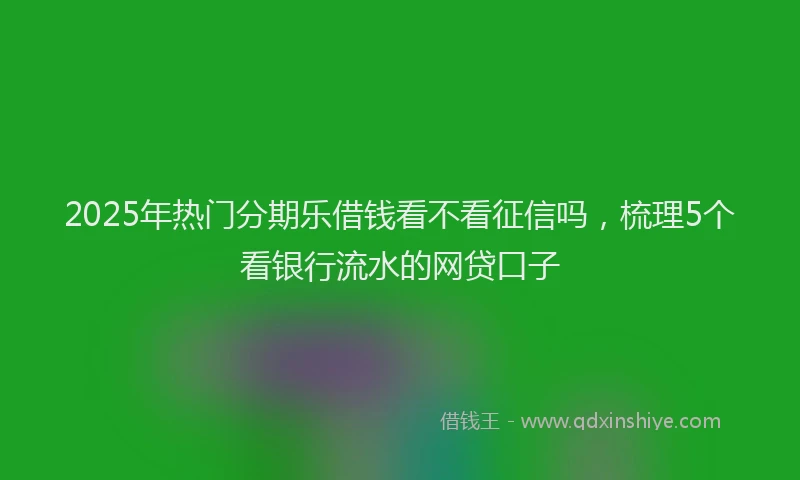 2025年热门分期乐借钱看不看征信吗，梳理5个看银行流水的网贷口子