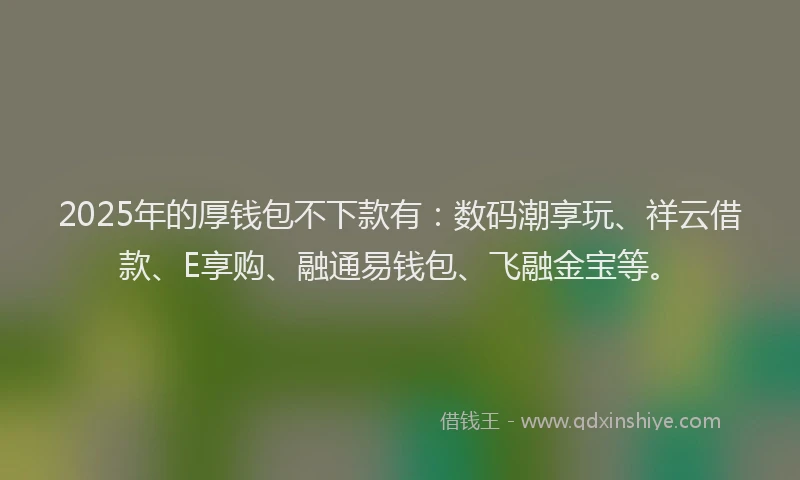 2025年的厚钱包不下款有：数码潮享玩、祥云借款、E享购、融通易钱包、飞融金宝等。
