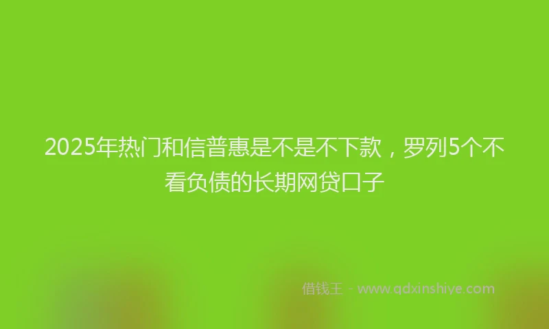 2025年热门和信普惠是不是不下款，罗列5个不看负债的长期网贷口子