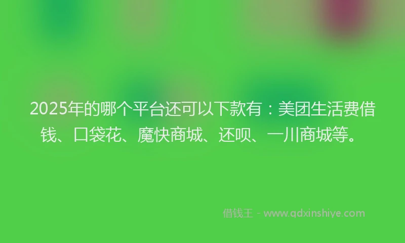 2025年的哪个平台还可以下款有：美团生活费借钱、口袋花、魔快商城、还呗、一川商城等。