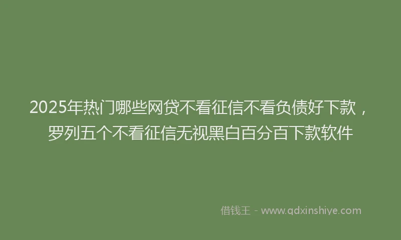 2025年热门哪些网贷不看征信不看负债好下款，罗列五个不看征信无视黑白百分百下款软件