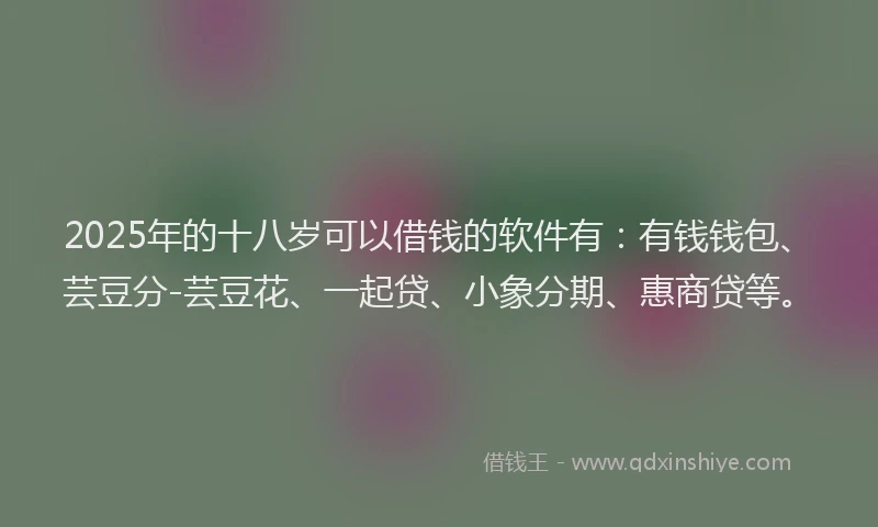 2025年的十八岁可以借钱的软件有：有钱钱包、芸豆分-芸豆花、一起贷、小象分期、惠商贷等。