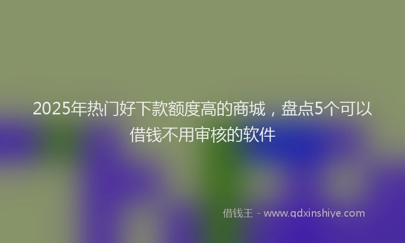 2025年热门好下款额度高的商城，盘点5个可以借钱不用审核的软件