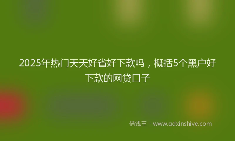 2025年热门天天好省好下款吗，概括5个黑户好下款的网贷口子