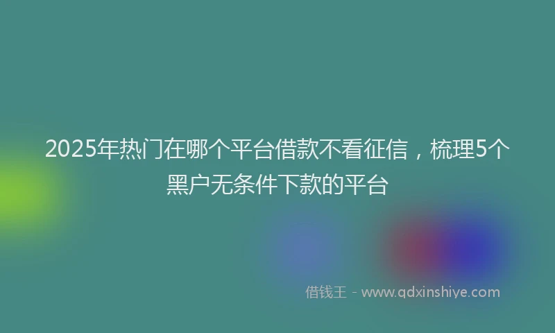 2025年热门在哪个平台借款不看征信，梳理5个黑户无条件下款的平台