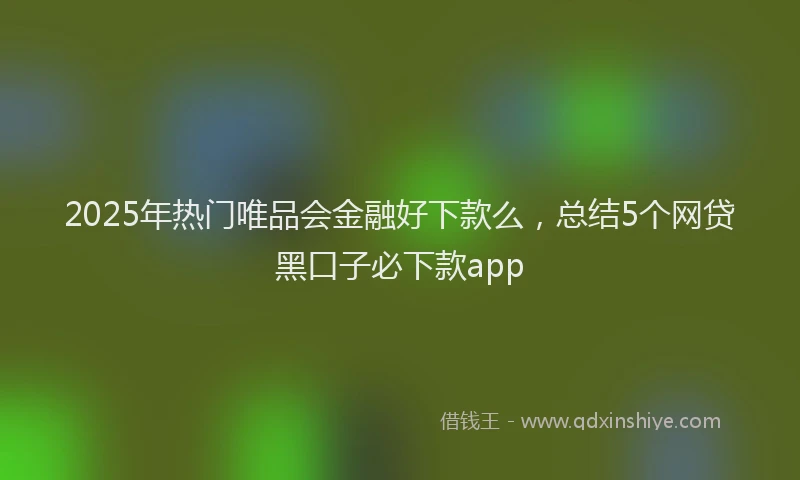 2025年热门唯品会金融好下款么，总结5个网贷黑口子必下款app