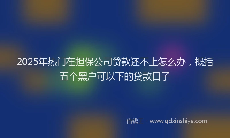 2025年热门在担保公司贷款还不上怎么办，概括五个黑户可以下的贷款口子