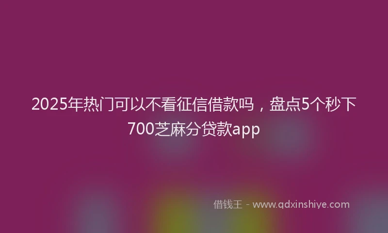 2025年热门可以不看征信借款吗，盘点5个秒下700芝麻分贷款app