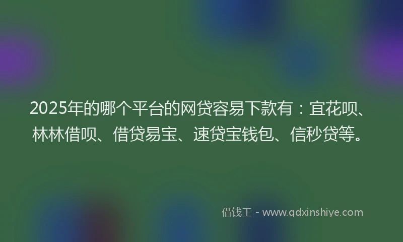 2025年的哪个平台的网贷容易下款有：宜花呗、林林借呗、借贷易宝、速贷宝钱包、信秒贷等。