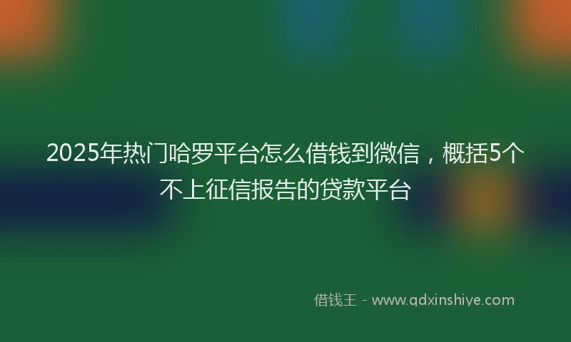 2025年热门哈罗平台怎么借钱到微信，概括5个不上征信报告的贷款平台
