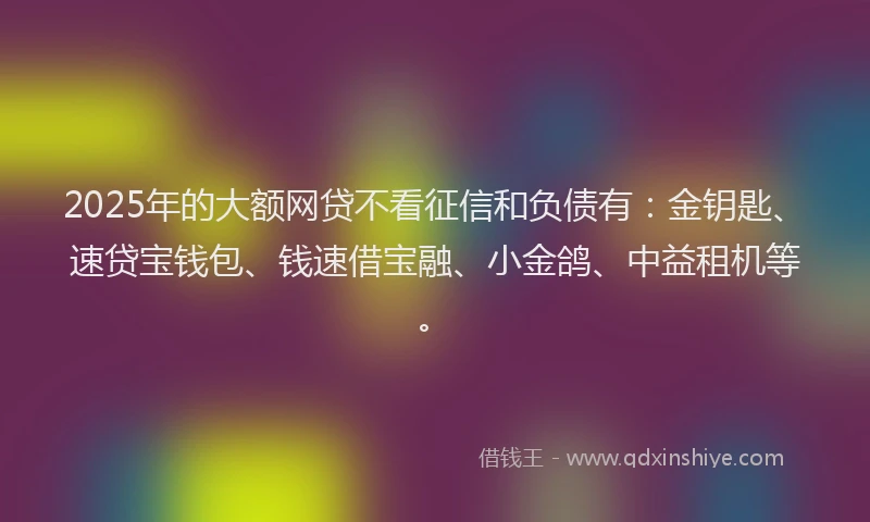 2025年的大额网贷不看征信和负债有：金钥匙、速贷宝钱包、钱速借宝融、小金鸽、中益租机等。