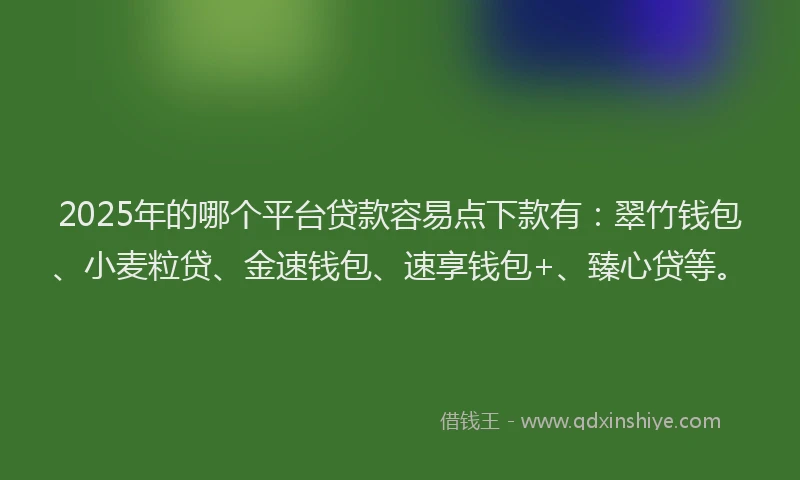 2025年的哪个平台贷款容易点下款有：翠竹钱包、小麦粒贷、金速钱包、速享钱包+、臻心贷等。