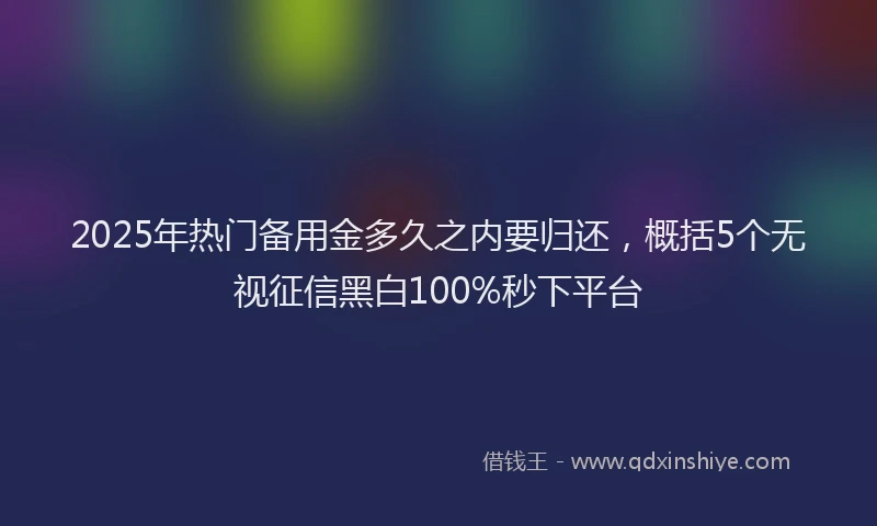 2025年热门备用金多久之内要归还，概括5个无视征信黑白100%秒下平台