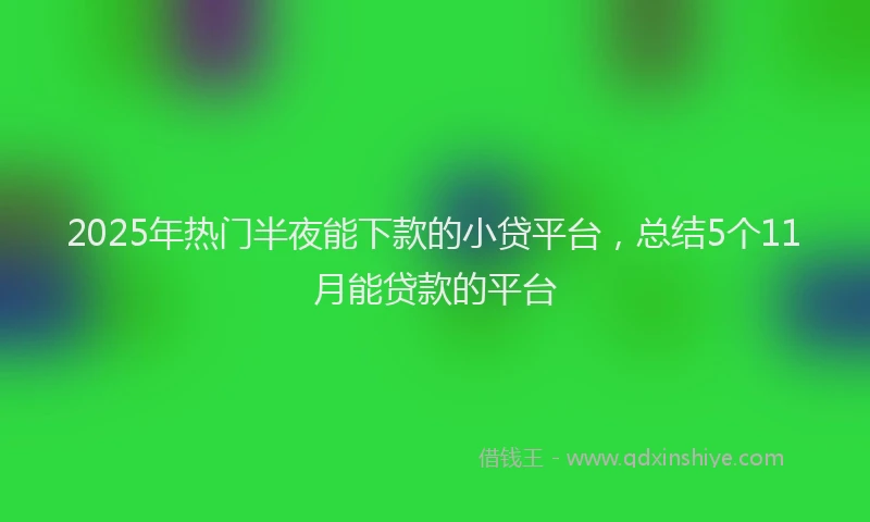 2025年热门半夜能下款的小贷平台，总结5个11月能贷款的平台