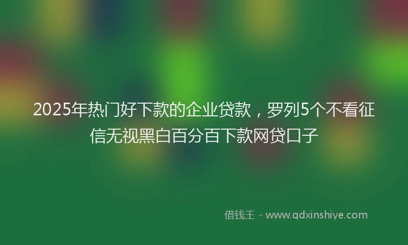 2025年热门好下款的企业贷款，罗列5个不看征信无视黑白百分百下款网贷口子