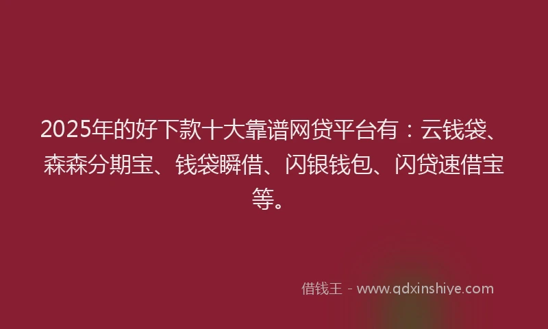 2025年的好下款十大靠谱网贷平台有：云钱袋、森森分期宝、钱袋瞬借、闪银钱包、闪贷速借宝等。
