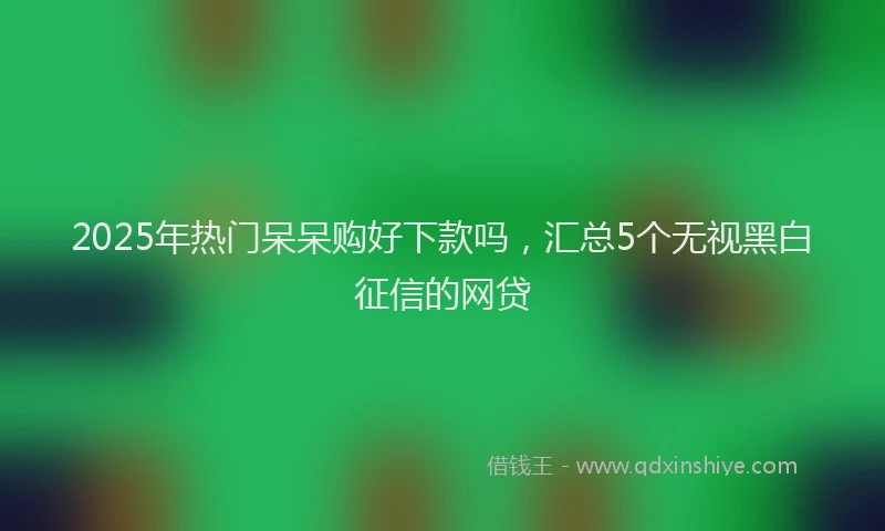 2025年热门呆呆购好下款吗，汇总5个无视黑白征信的网贷