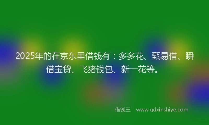 2025年的在京东里借钱有：多多花、甄易借、瞬借宝贷、飞猪钱包、新一花等。
