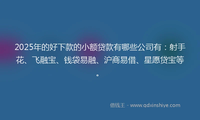 2025年的好下款的小额贷款有哪些公司有：射手花、飞融宝、钱袋易融、沪商易借、星愿贷宝等。