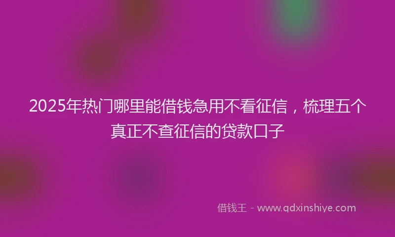 2025年热门哪里能借钱急用不看征信，梳理五个真正不查征信的贷款口子