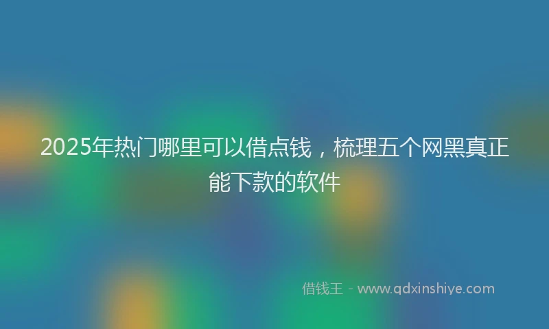 2025年热门哪里可以借点钱，梳理五个网黑真正能下款的软件