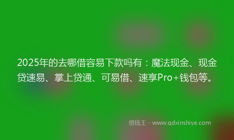 2025年的去哪借容易下款吗有：魔法现金、现金贷速易、掌上贷通、可易借、速享Pro+钱包等。